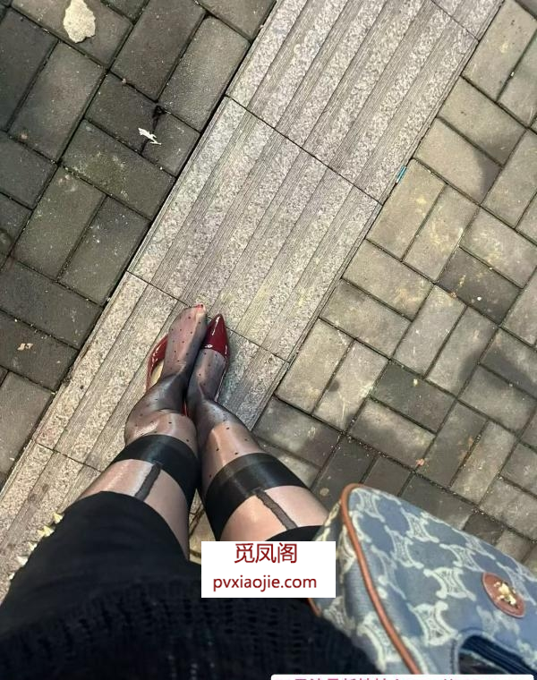 汉阳车震萌物语